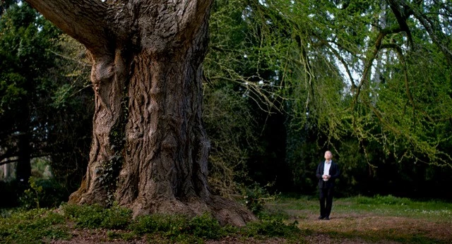 Ein man steht neben einem riesigen Baum